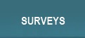 Browse Surveys