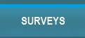 Browse Surveys
